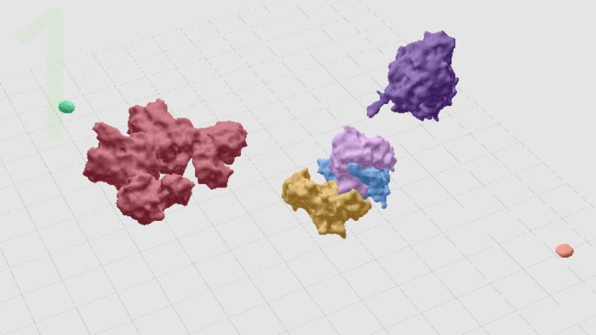 Epinephrine Inducing cAMP Poduction